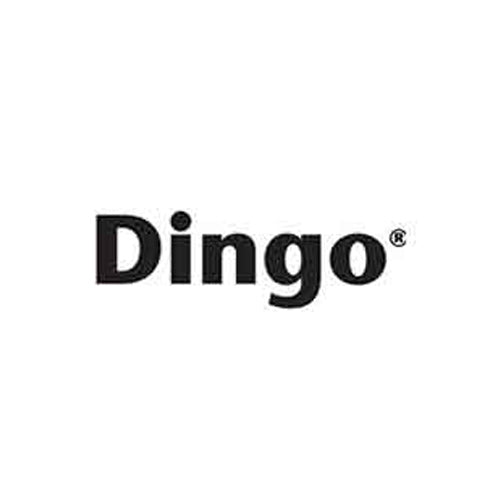 DINGO